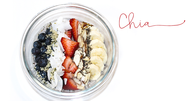 Chia Pudding Recipe